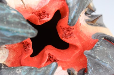 multi-chambered detail 1