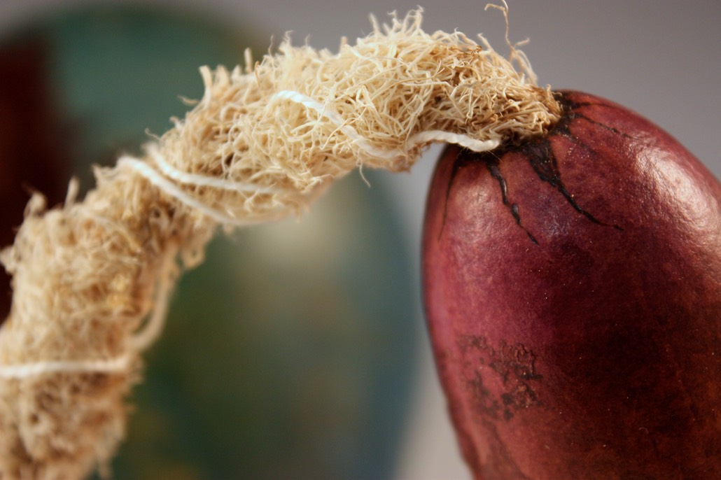 momma's boy (view 5).JPG